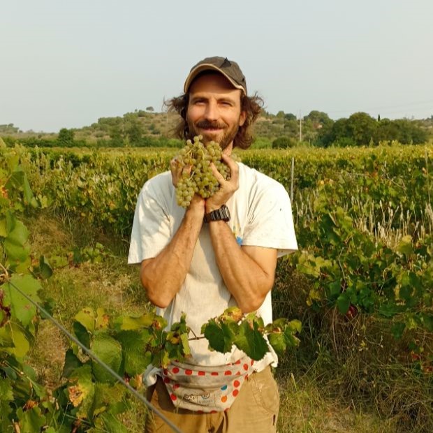 Le vigneron