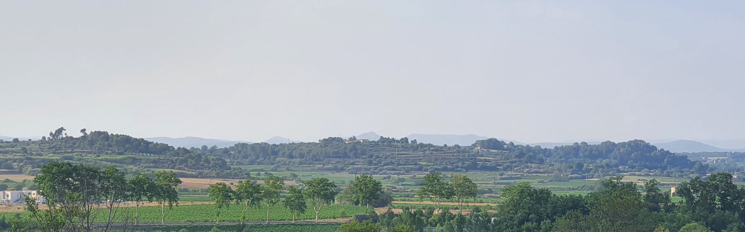 Nous sommes situés entre Pézenas et le village de Tourbes, sur des collines argilo-calcaires